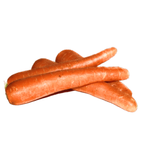 Farm Carrot