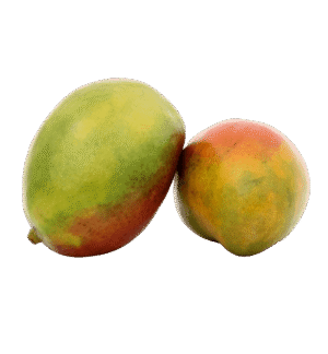 Fresh Mango