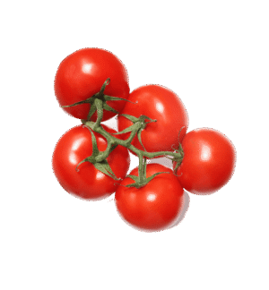 Fresh Tomato